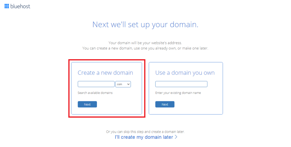 choose-a-domain-name